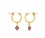 GOLD FILLED SMALL CHUNKY HOOP EARRINGS WITH A GARNET DANGLE